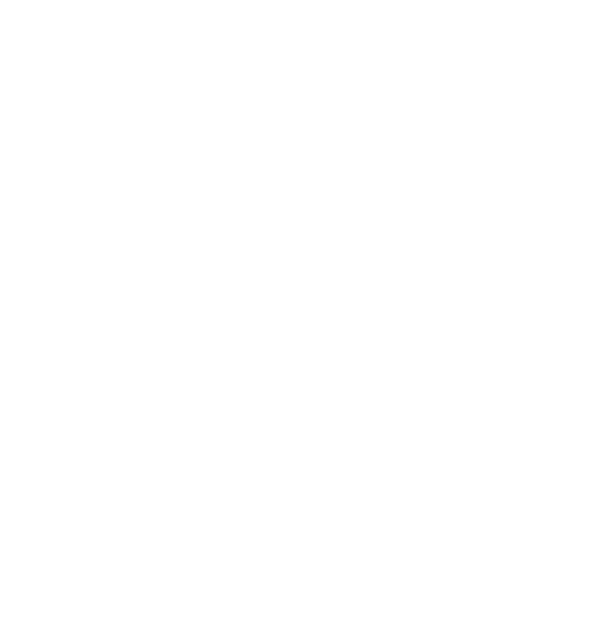 BIGSKULL