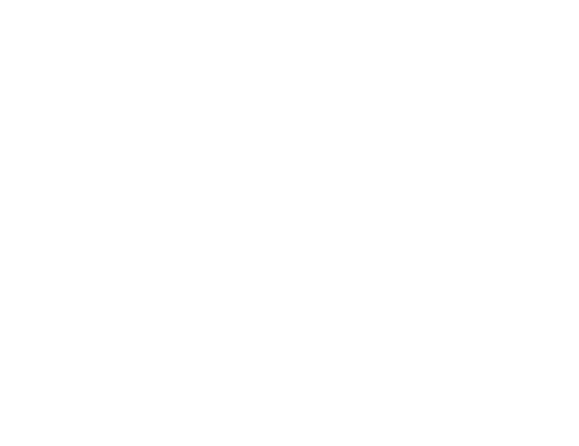 BIGSKULL